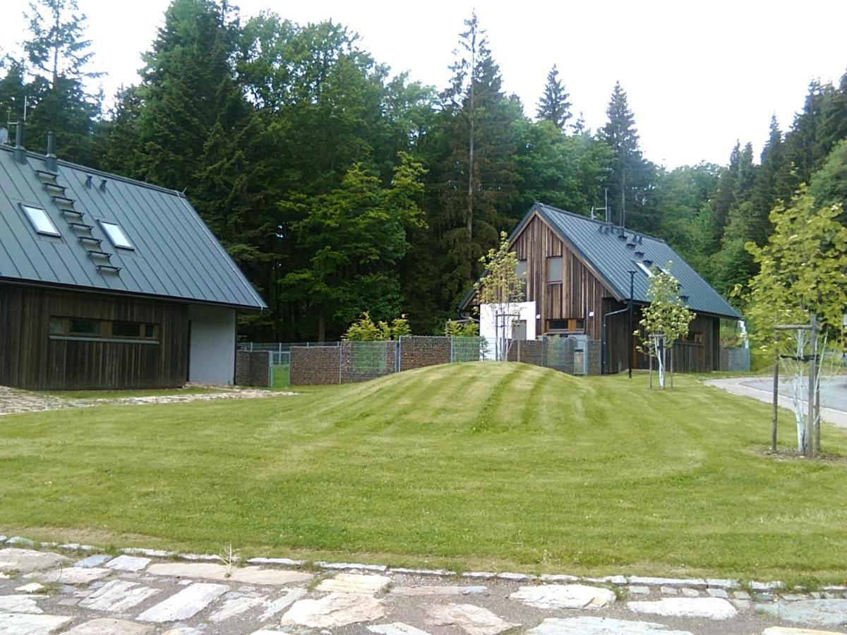 Apartmany Zlaty Hamr Svoboda nad Úpou Exterior foto
